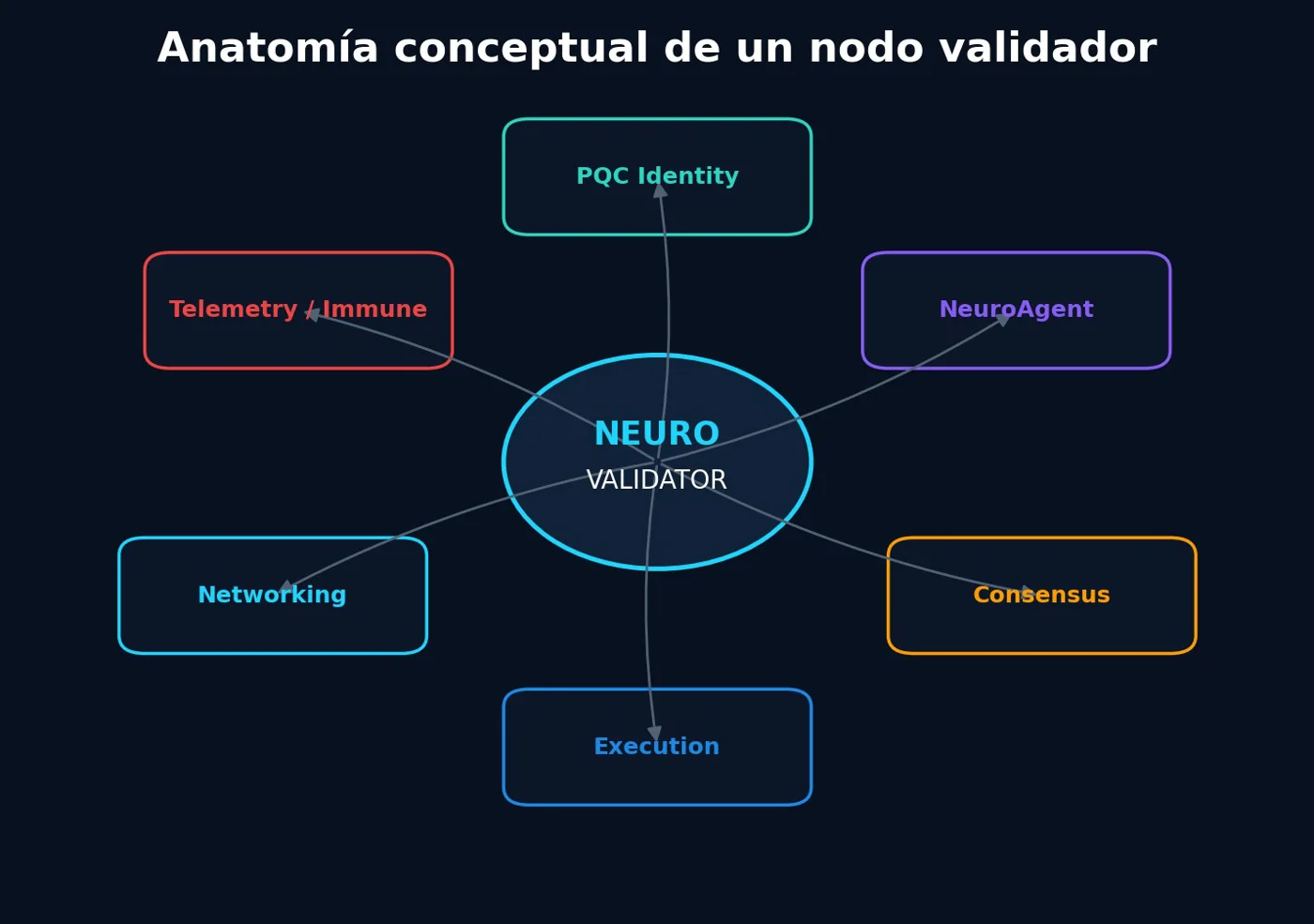 Validator node anatomy